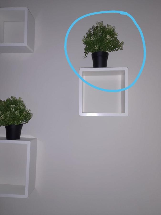 Precioso Estudio En Lavapies Salitre Madrid Dış mekan fotoğraf